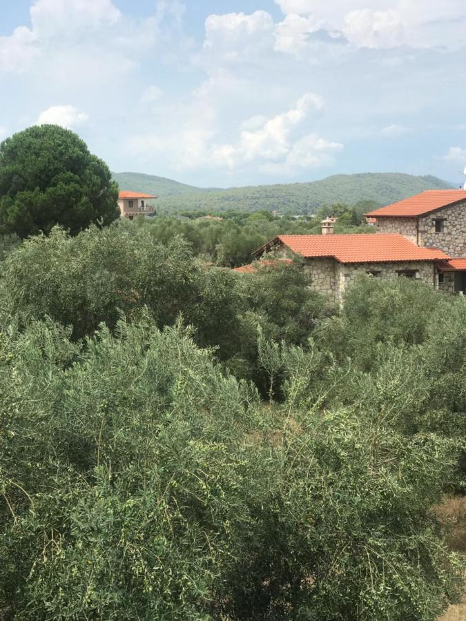 Апартаменти Olivegrove House Вурвуру Екстер'єр фото