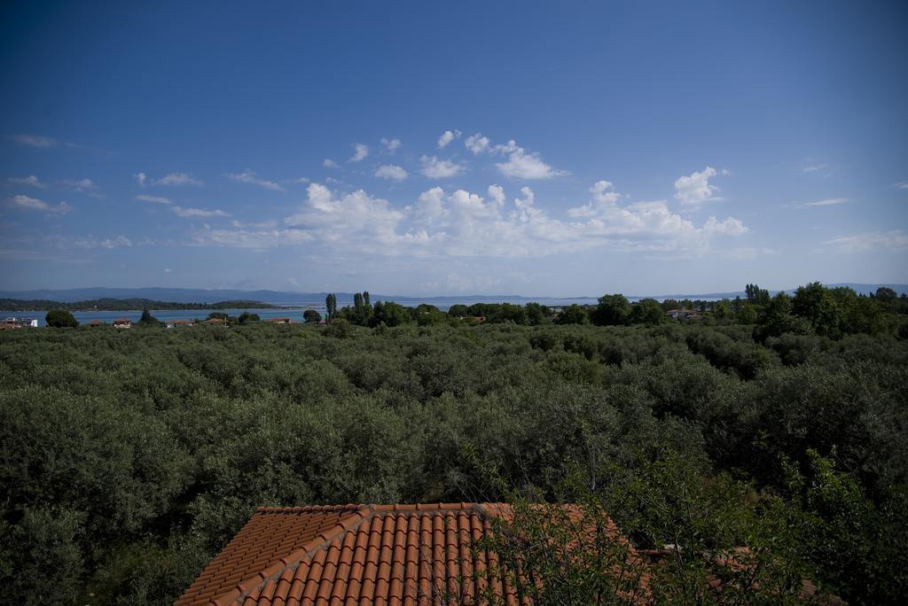 Апартаменти Olivegrove House Вурвуру Екстер'єр фото